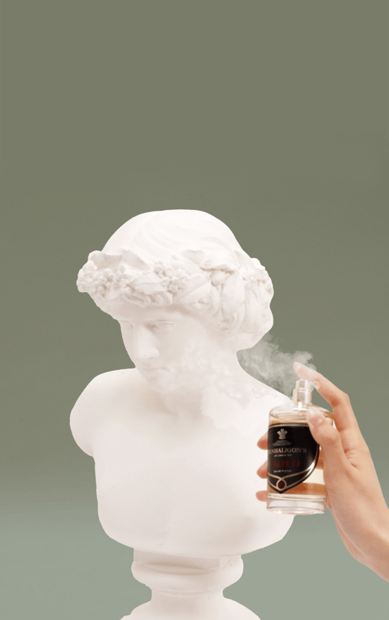 Discovery Sets_Content_Desktop@2x.png